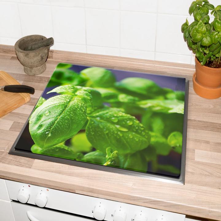 Image du produit Trenddeko Basilic frais