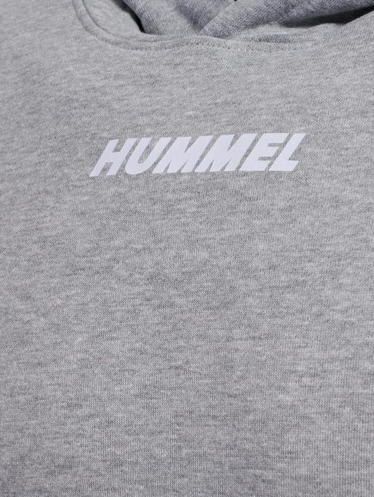 Actual product image hummel hmlELEMENTAL HOODIE (XL)