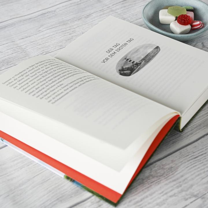 Actual product image Ein Sommer in Sommerby (German, Kirsten Boie, 2018)