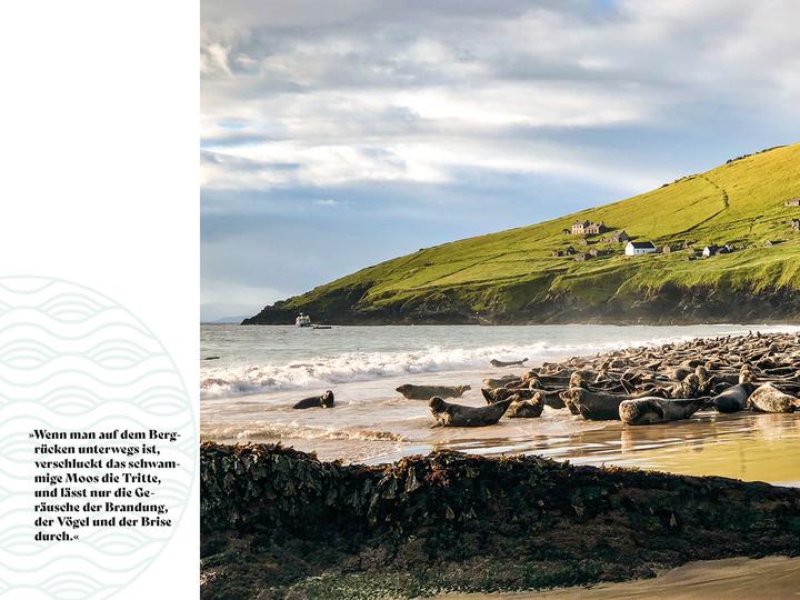 Immagine prodotto Soul Places Irland – Die Seele Irlands spüren (Tedesco, Sandra Böttcher, 2024)