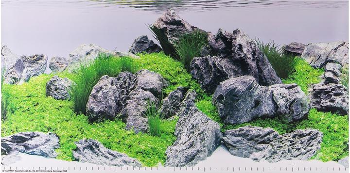 Immagine prodotto Juwel Aquarium Parete posteriore della foto 4 Dimensione S 60x30cm (altri edifici)