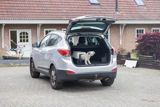 Immagine prodotto Karlie Box di trasporto Nomad Top Loader (Gatto, Cane, Chiudibile a chiave)
