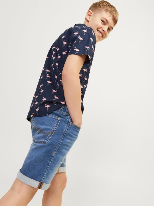 Produktbild Jack & Jones Regular Fit Regular Fit Shorts Für jungs Regular Fit Shorts (176)