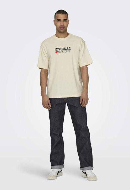 Actual product image Only & Sons Loose fit round neck T-shirt T-shirt (L)