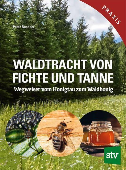 Immagine prodotto Buchner:Waldtracht von Fichte und Tanne (Tedesco, Peter Buchner, 2024)
