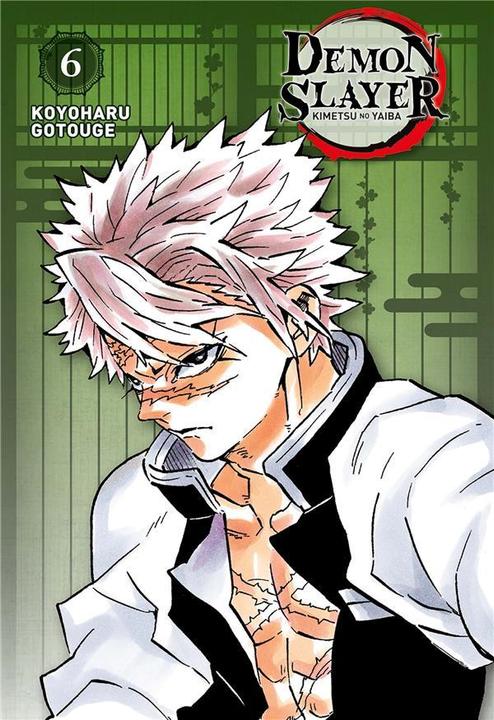 Image du produit NoName DEMON SLAYER - Tome 6 - Edition Pilier (Français, Gotouge Koyoharu, 2024)