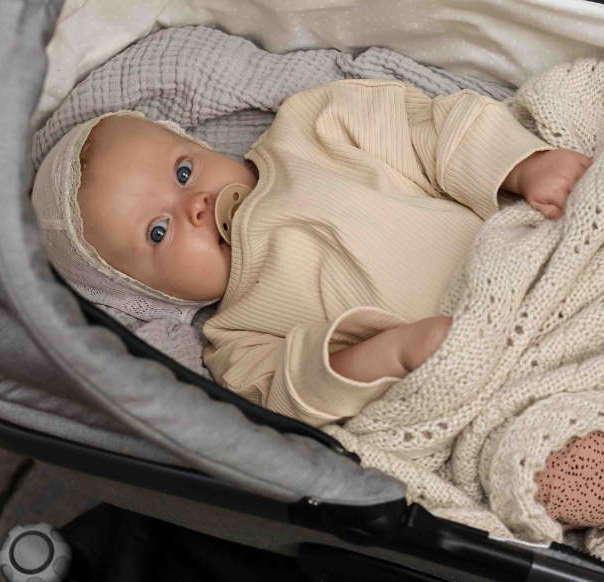 Produktbild Naturkind Kinderwagen Lux Evo mit HB Jade