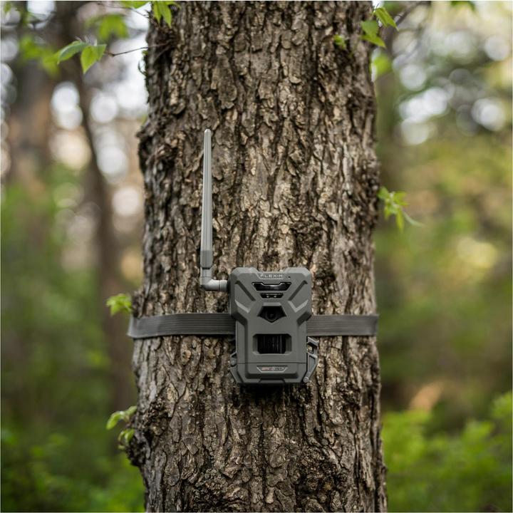 Immagine prodotto Spypoint Fotocamera per animali selvatici FLEX-M Twin Pack