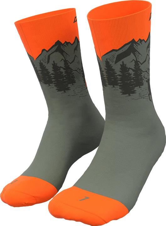 Immagine prodotto Dynafit Calzini Stay Fast Unisex (39 - 42)