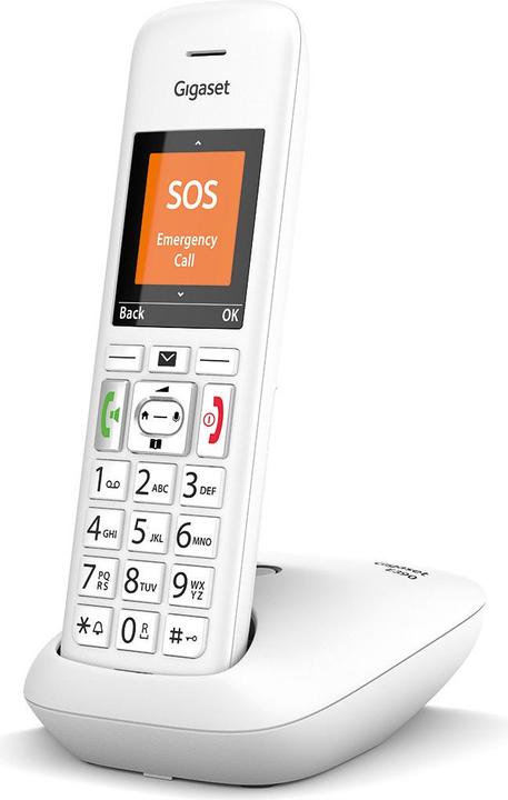 Image du produit Gigaset E390