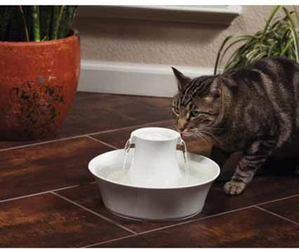 Produktbild Drinkwell PetSafe Avalon (2 l)