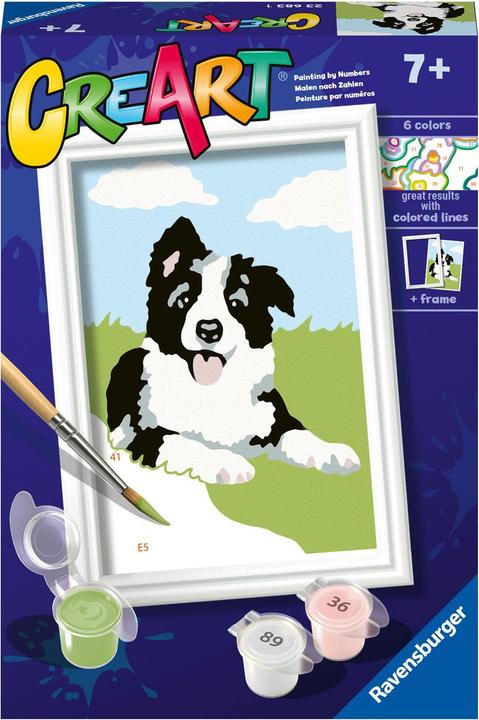 Produktbild Ravensburger Malen nach Zahlen - Border Collie Welpe