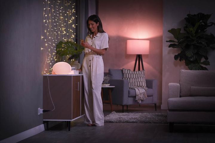 Actual product image Philips Hue SmartPlug