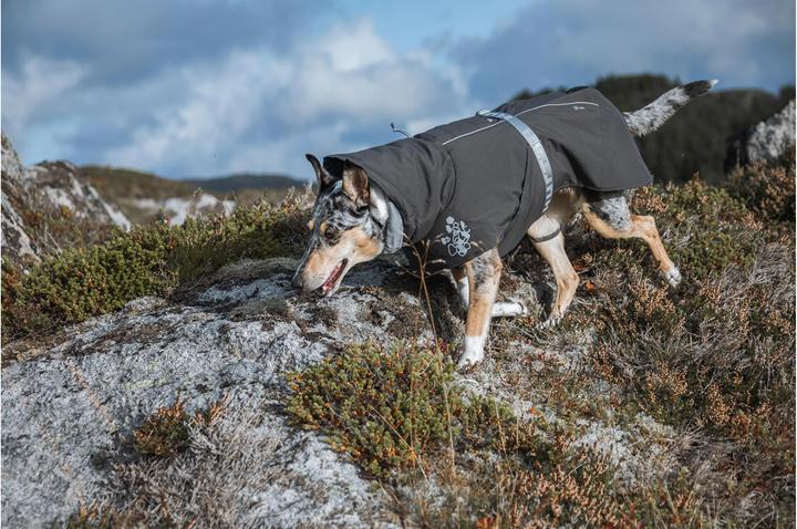 Produktbild Hurtta Wintermantel Extreme Warmer weinrot, 55 (M, Hundemantel)