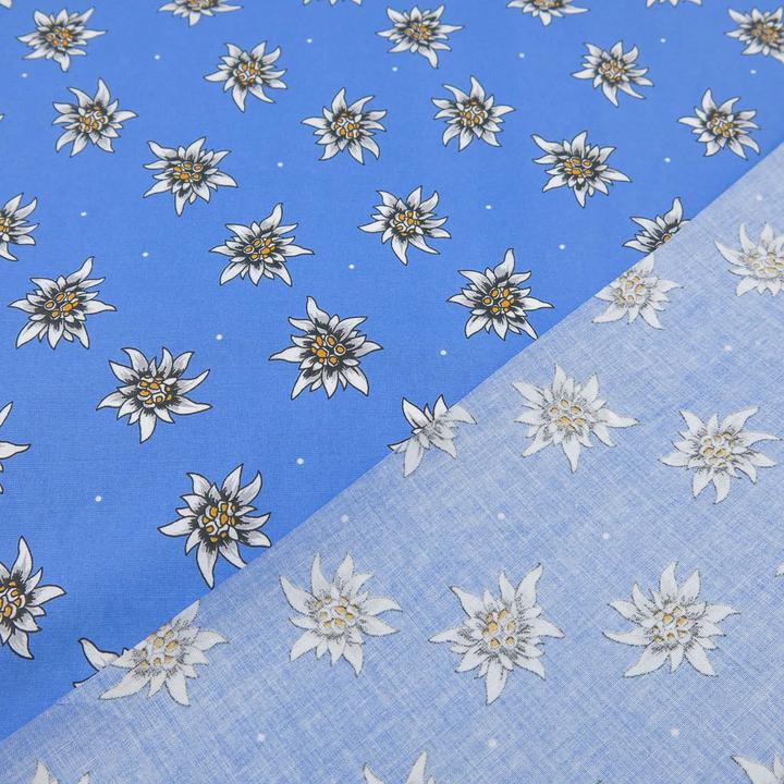 Edelweiss sur bleu