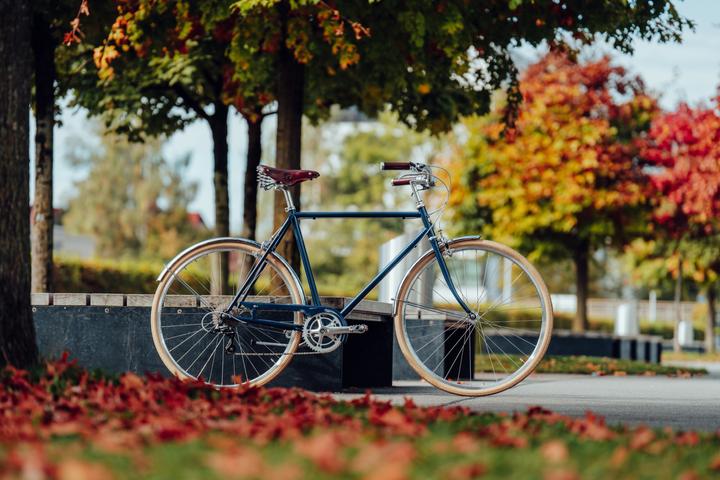 Produktbild Siech Cycles 8Speed Comfort (58 cm)