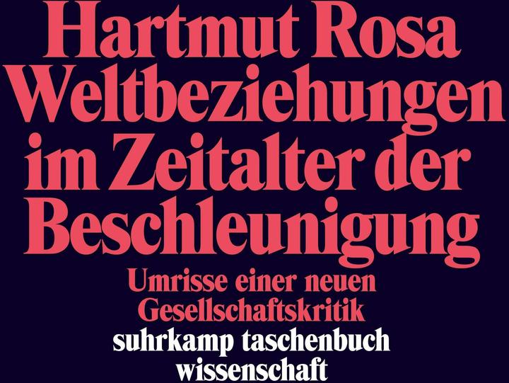 Produktbild Weltbeziehungen im Zeitalter der Beschleunigung (Deutsch, Hartmut Rosa, 2012)
