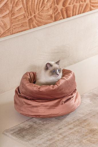 Produktbild Designed by Lotte Fluco (Katze)
