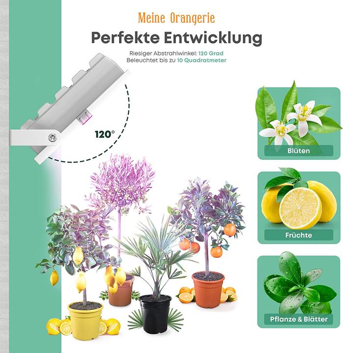 Actual product image Meine Orangerie 35.0 Watt (LED, 230 V)