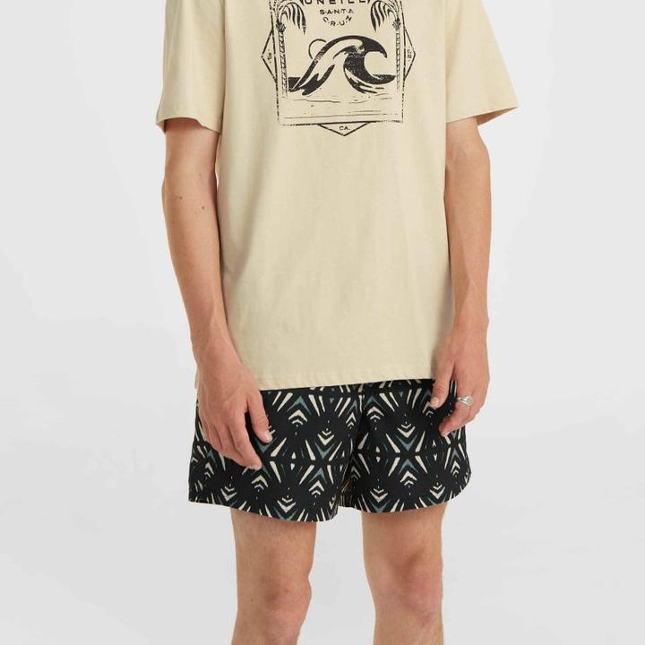 Actual product image O'Neill Mix & Match Wave T-Shirt (M)