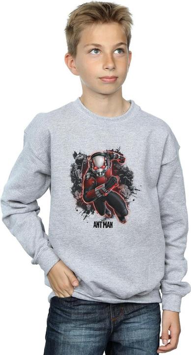 Actual product image Boys Ant-Man Ants Running Sweatshirt (152, 158)