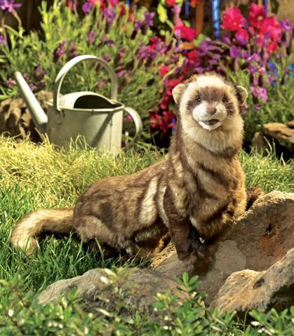 Image du produit Folkmanis Furet