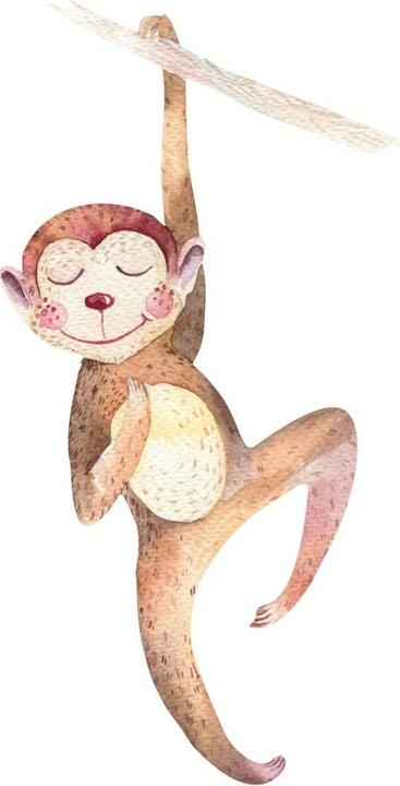 Immagine prodotto Trenddeko Scimmia appesa (20 x 40 cm)