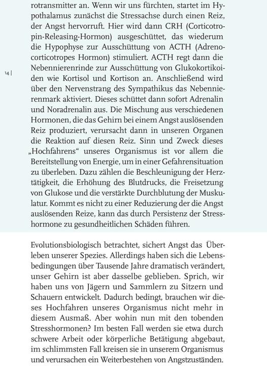 Image du produit Willkommen Angst (Allemand, Constance Dennig, 2023)