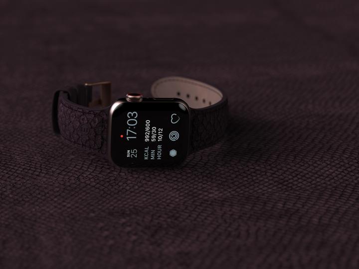 Actual product image Njord Eldur Watch Strap For (41 mm, 40 mm, Vegan Leather, Stainless steel fastener, Salmon leather)
