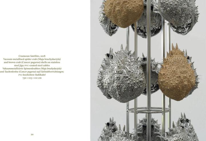 Immagine prodotto Alice Channer (Tedesco, Inglese, Stefanie Gschwend/ Museo d'arte/Galleria d'arte di Appenzello, Alice Channer, 2023)