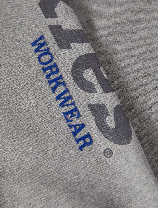 Immagine prodotto The Dickies Felpa grafica Okemo Grigio L (L)