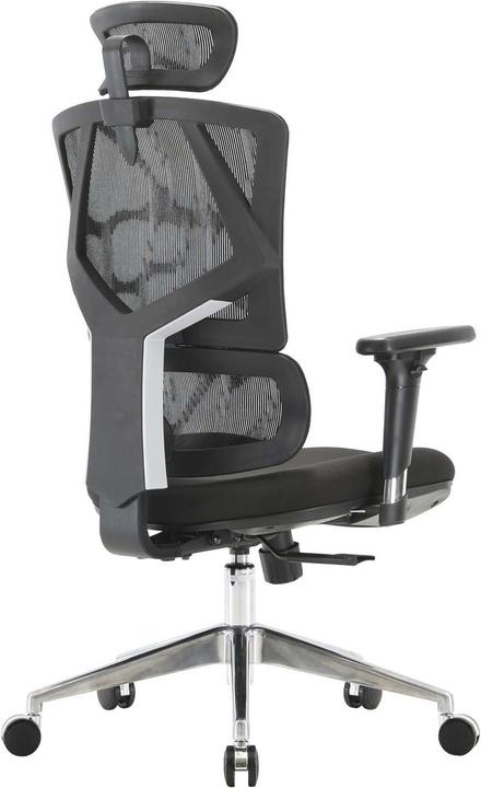 Image du produit Sihoo Chaise de bureau avec soutien lombaire