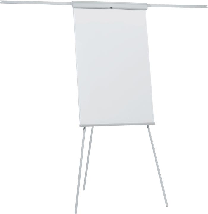 Franken Line Standard Plus (70 x 110 cm)