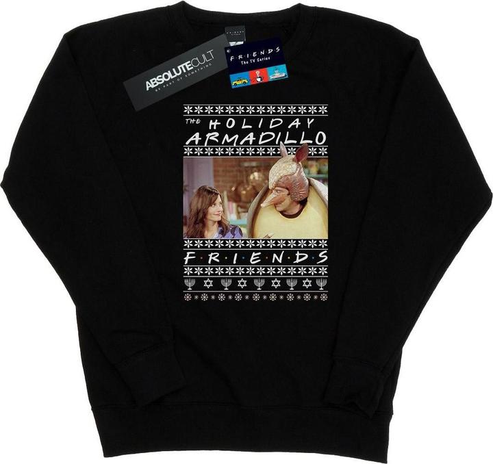 Friends Fair Isle Holiday Armadillo Sweatshirt (L)