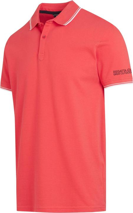 Actual product image Regatta Mens Tadeo Polo Shirt (L)