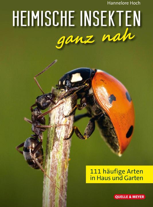 Immagine prodotto Heimische Insekten ganz nah (Tedesco, Hannelore, Alto, 2024)