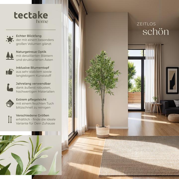 Image du produit tectake Olivenbaum Oleand (150 cm)
