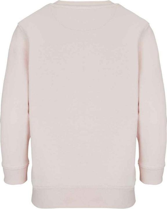 Actual product image Sols Childrens/Kids Columbia Sweatshirt (152)