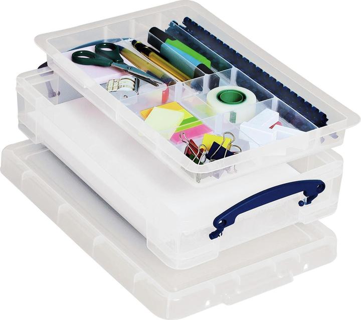 Actual product image Really Useful Box Storage box (39.5 x 25.5 x 8.5 cm, 4 l)