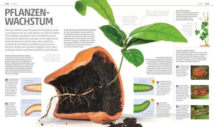 Actual product image Mega-Wissen. Natur & Technik (German, Birgit Reit, 2020)