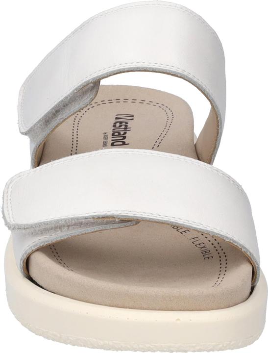 Immagine prodotto Westland 25403-409 (40)
