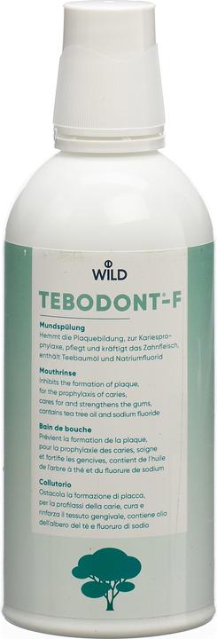 Tebodont Mundspülung (500 ml, Mundspülung)
