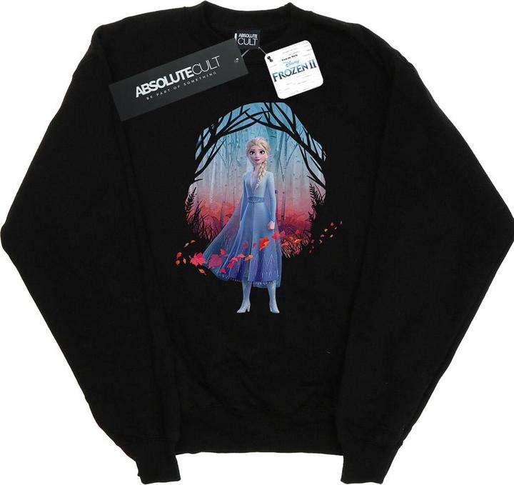 Produktbild Disney Frozen 2 Elsa Find The Way Sweatshirt (L)