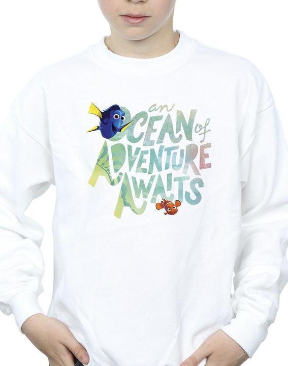 Actual product image Disney Boys Finding Dory Ocean Of Adventure Sweatshirt (128)