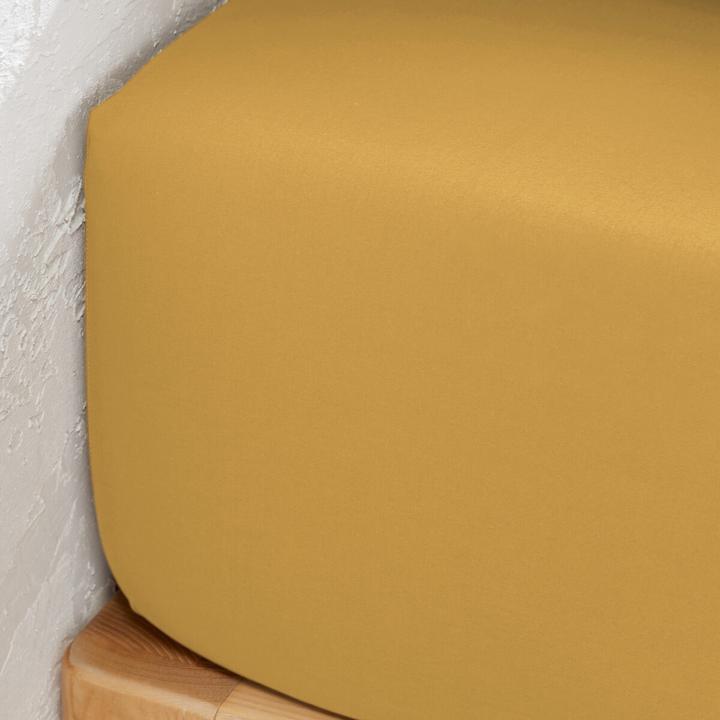 Immagine prodotto La Redoute Interieurs Percalle Unie Best (160 x 200 cm)