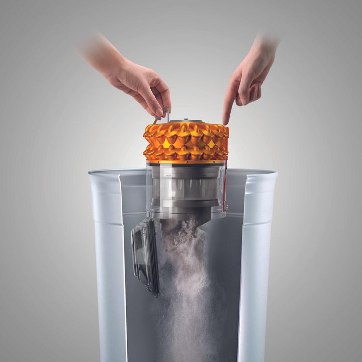 Actual product image Dyson DC52 Allergy + Mattress