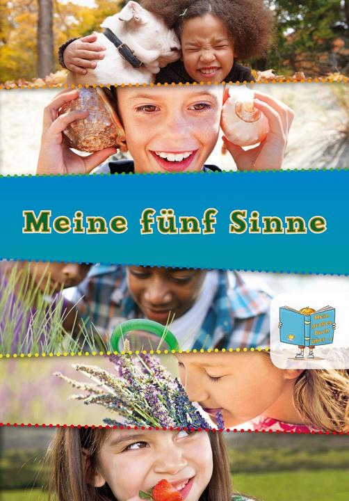Produktbild Mein grosses Buch über Meine fünf Sinne (Deutsch, Tracey Steffora, 2017)