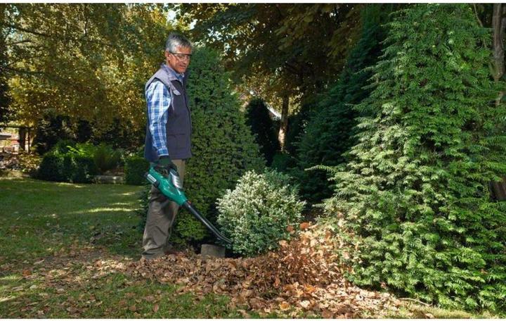 Image du produit Bosch Home & Garden ALB 36 LI (sans batterie) (Fonctionnement sur batterie, Aspirateurs à feuilles)