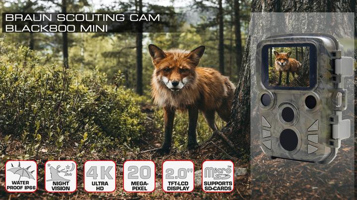 Produktbild Braun Photo Scouting Cam Black800 mini