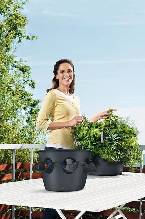 Produktbild Lechuza Cascada (44 cm)